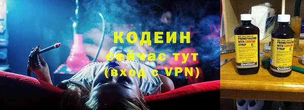 крисы Богородицк