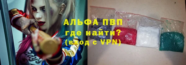 крисы Богородицк