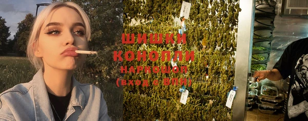 крисы Богородицк