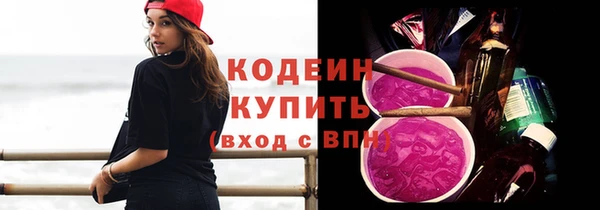 крисы Богородицк