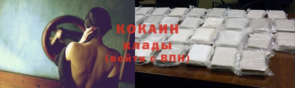 крисы Богородицк