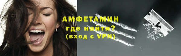крисы Богородицк