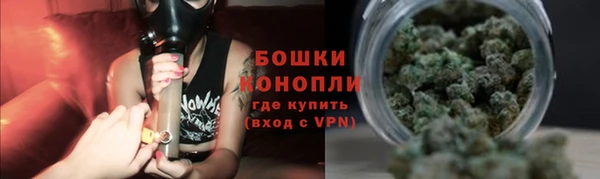 крисы Богородицк