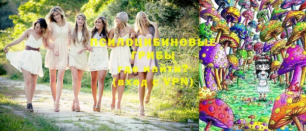 крисы Богородицк