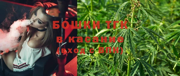 крисы Богородицк