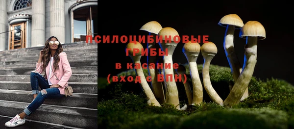 Альфа ПВП Богданович