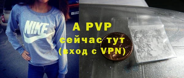 крисы Богородицк